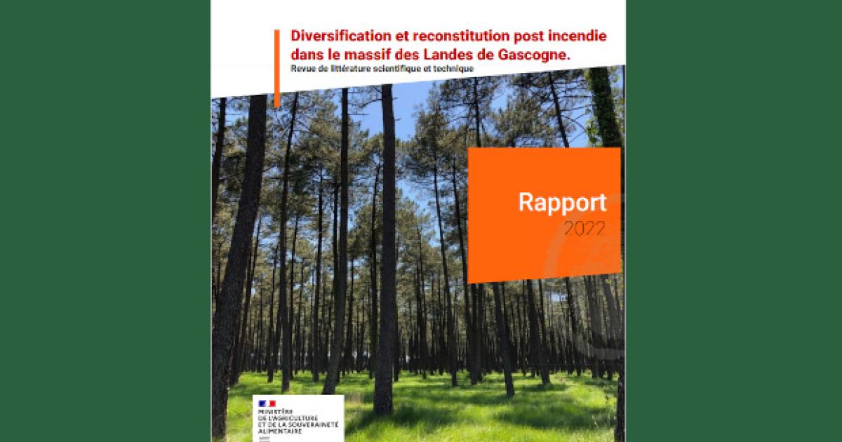 Nouvelle publication : Revue scientifique et technique sur la